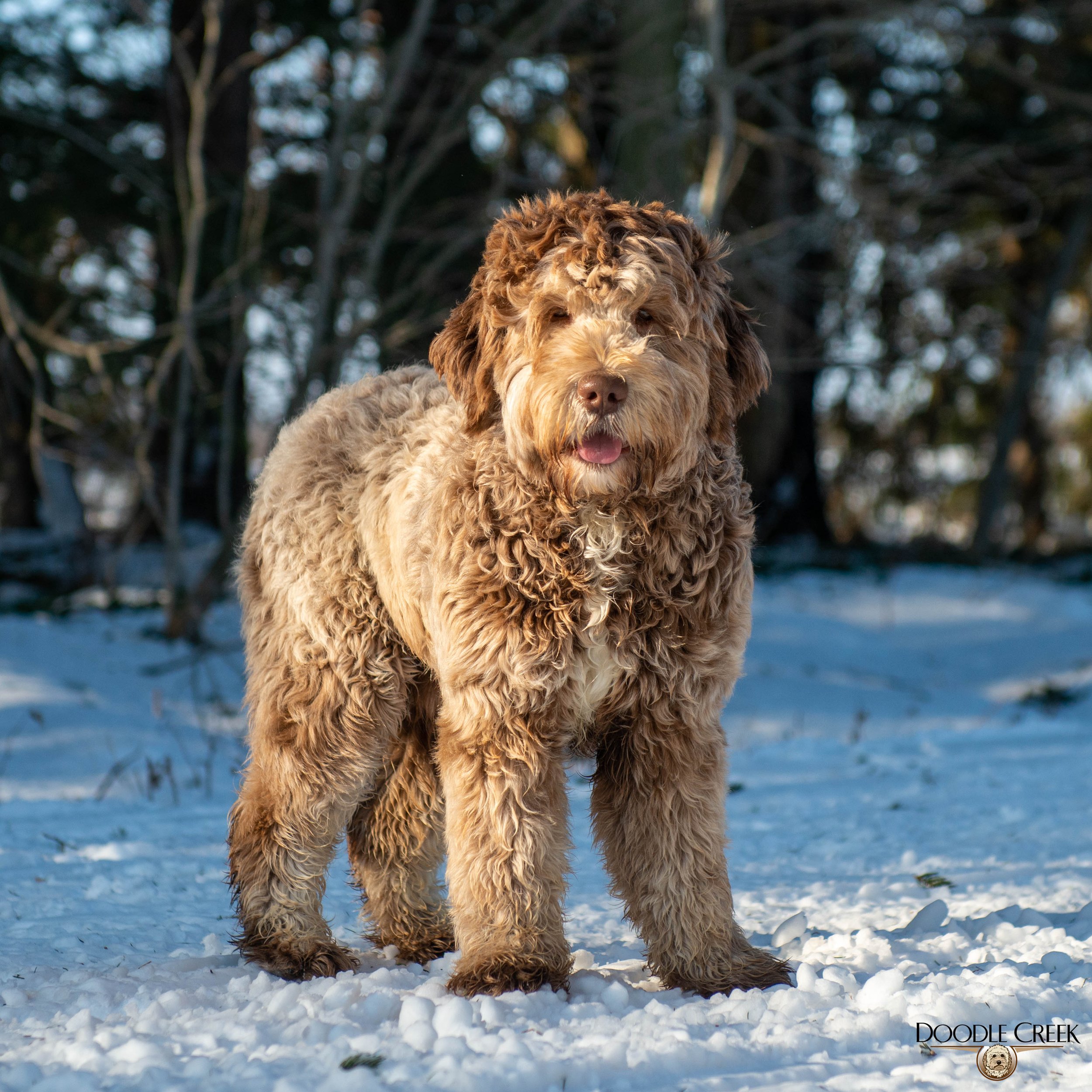 Remington