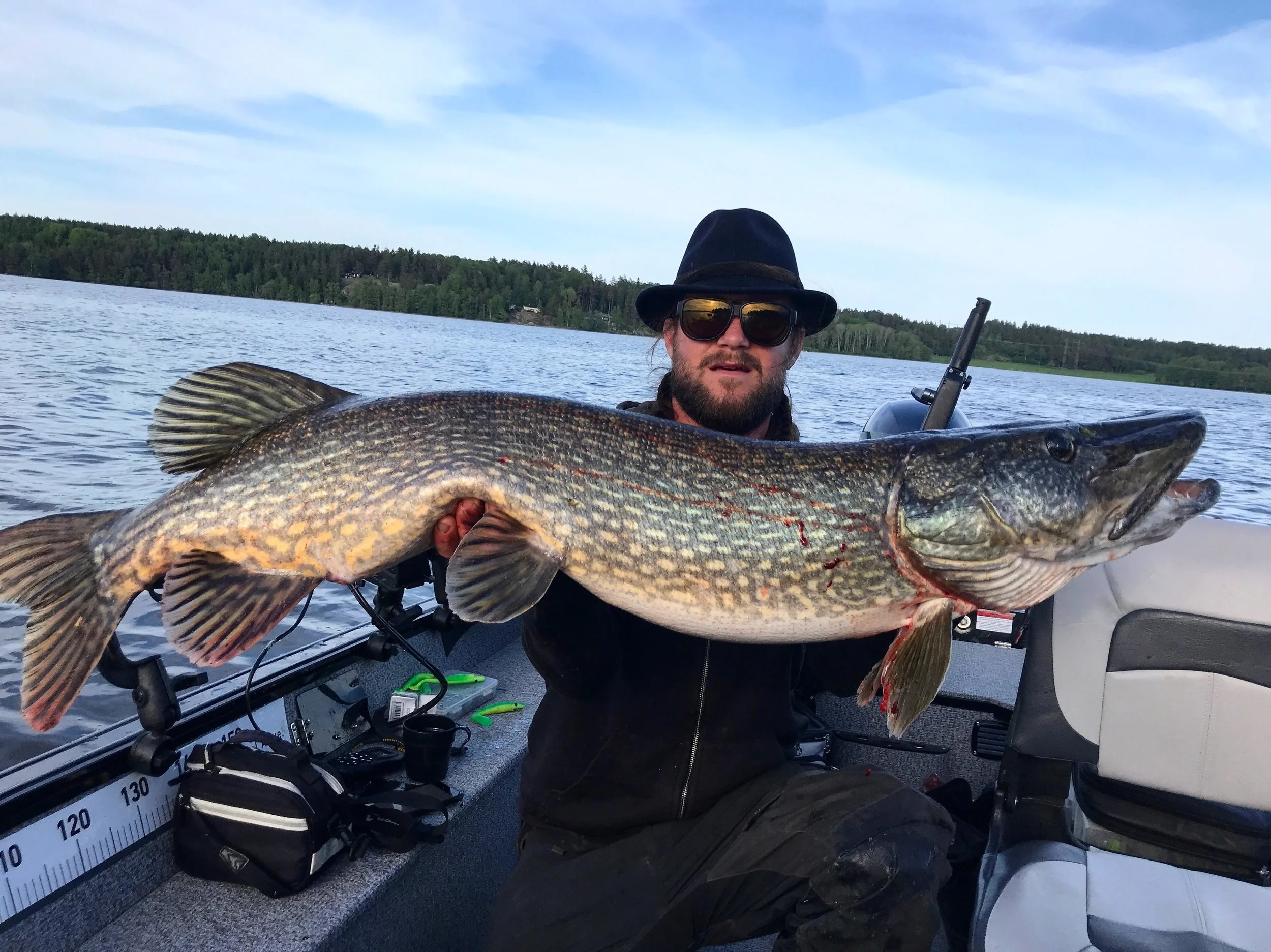 Gädda2 117 cm 11,4 kg Gäddjägaren.jpeg