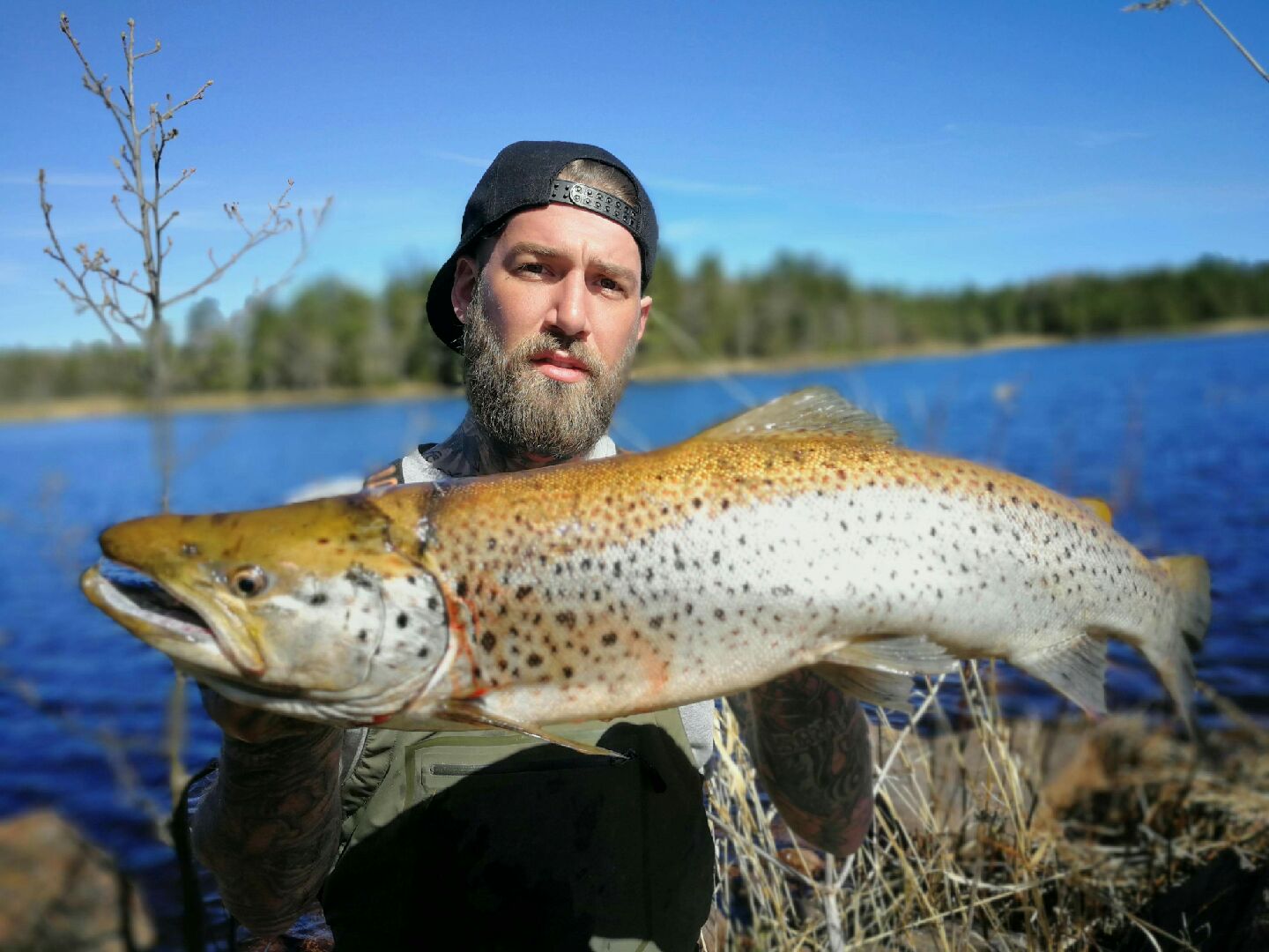 Trosa Fiskeguide Havsöring Robin.jpeg