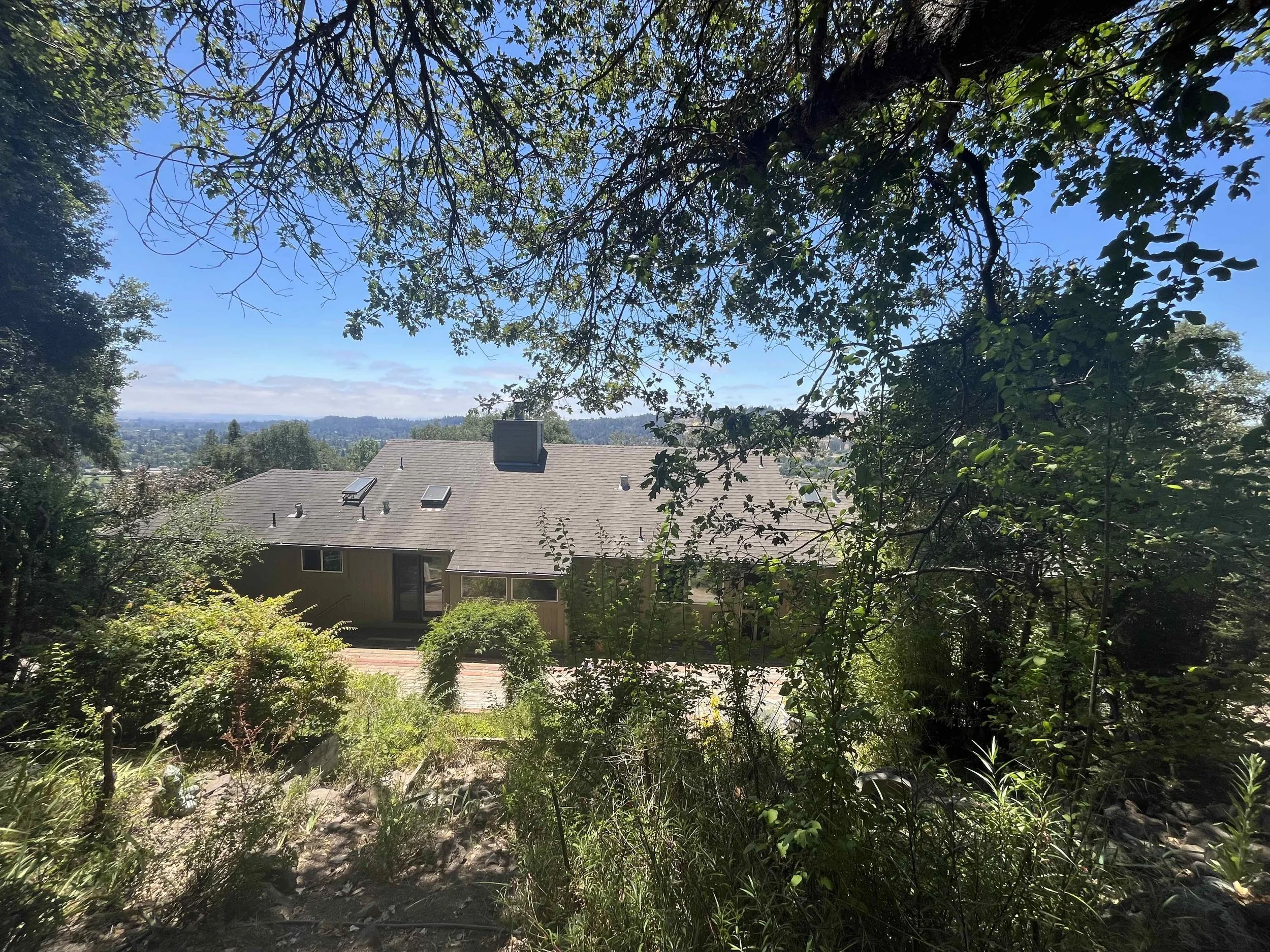 backyard w:view.jpg