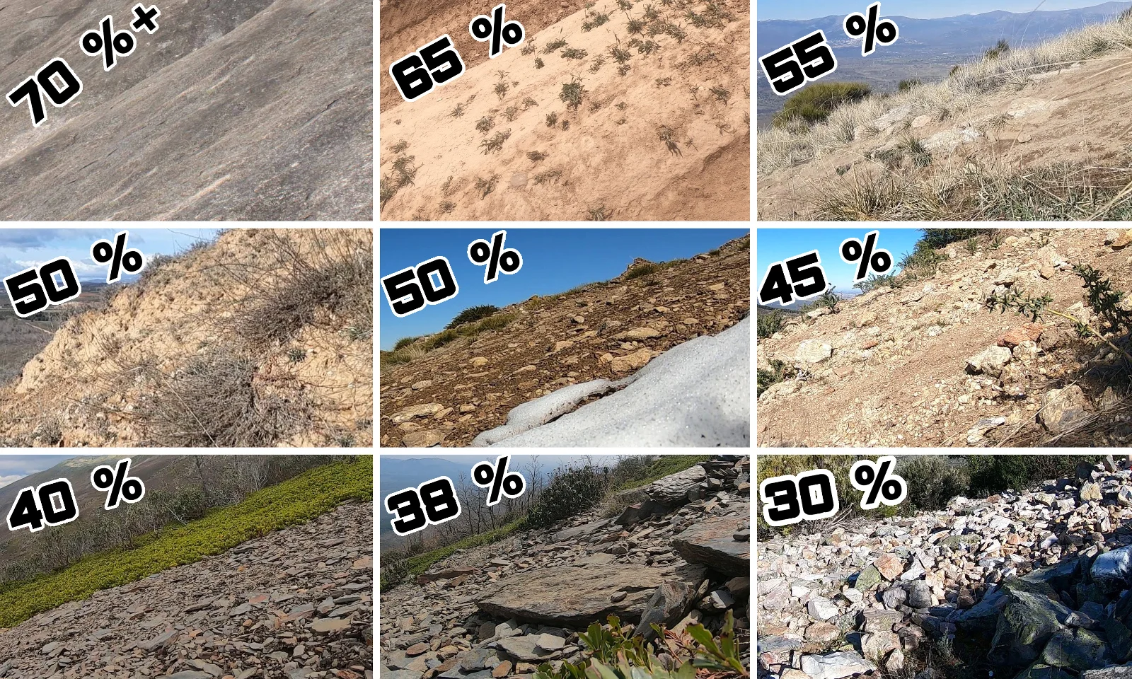 Percentage collage.jpg