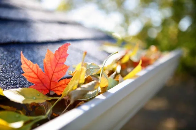 4 Things You Can Do to Get Your Home Ready for Fall