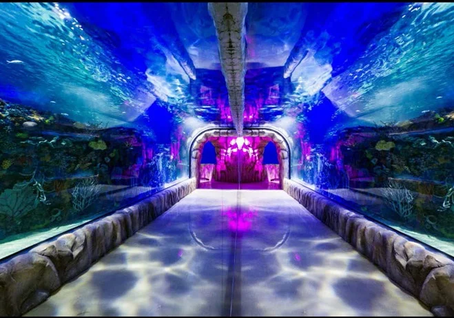 acuario-inbursa-0220141223090619.jpg