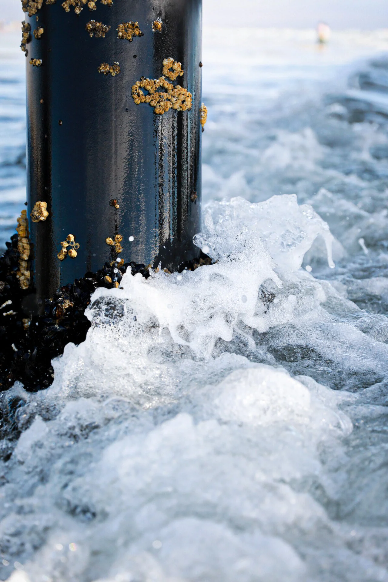 20200721172226_G26A0833 (1).jpg