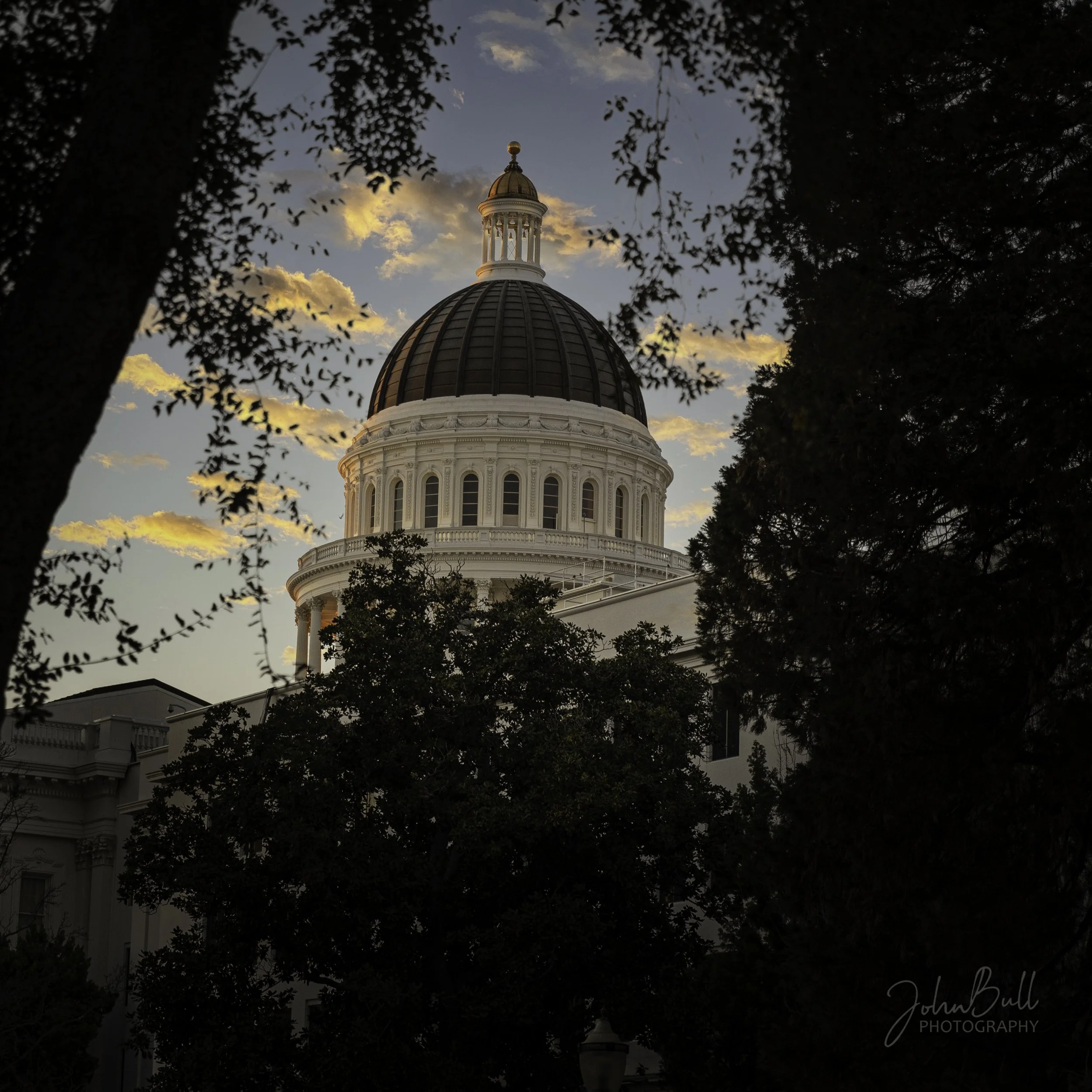 1E6A0256-Edit sig.jpg