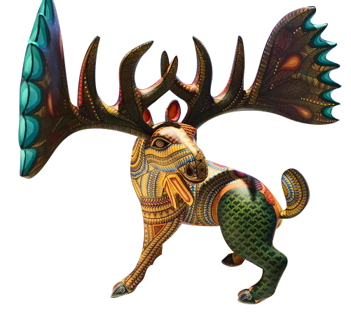 image2 3.png