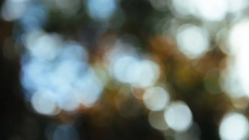 How we're helping foster care teens in the Chippewa Valley