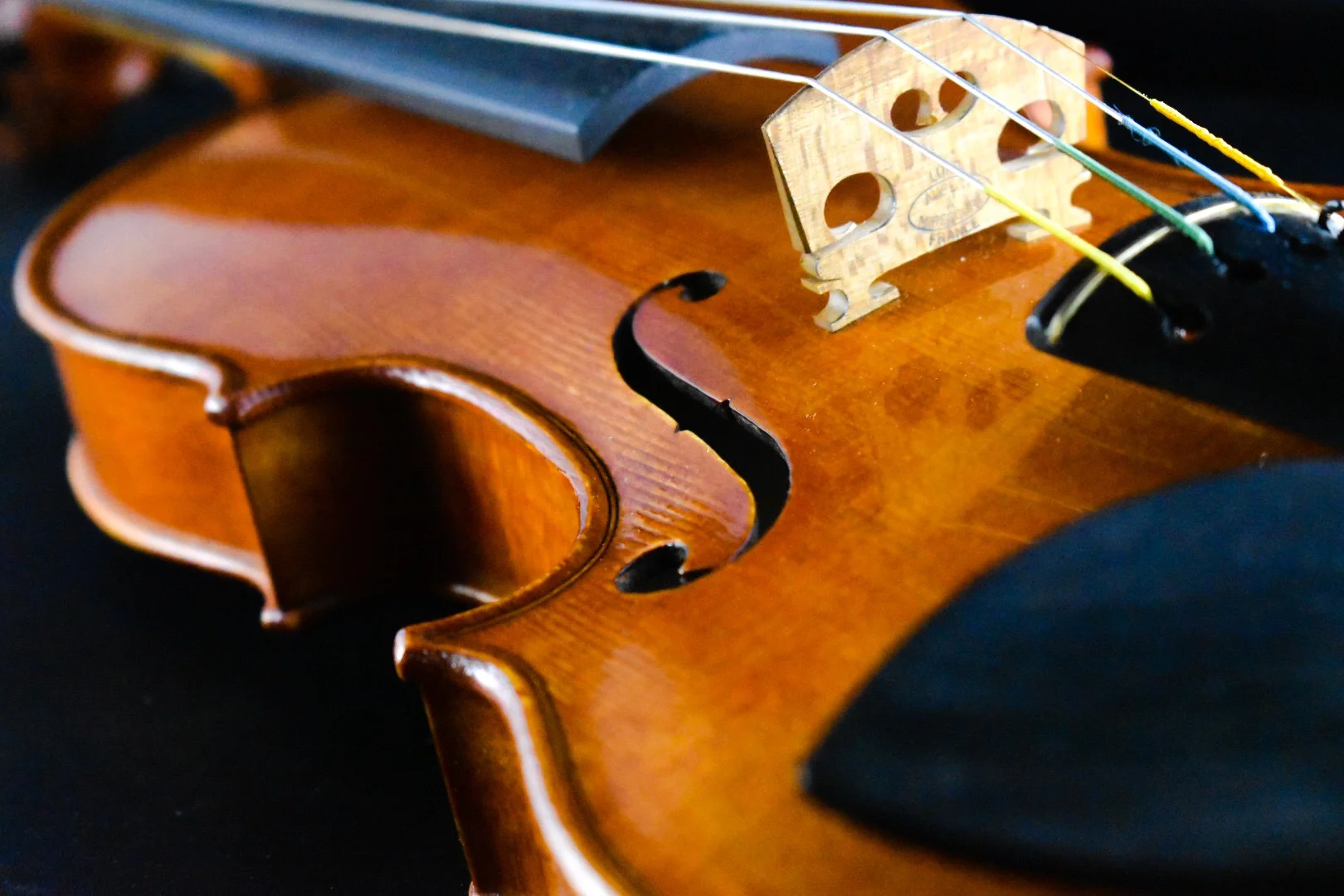 Vional Rent Banner Final.JPEG