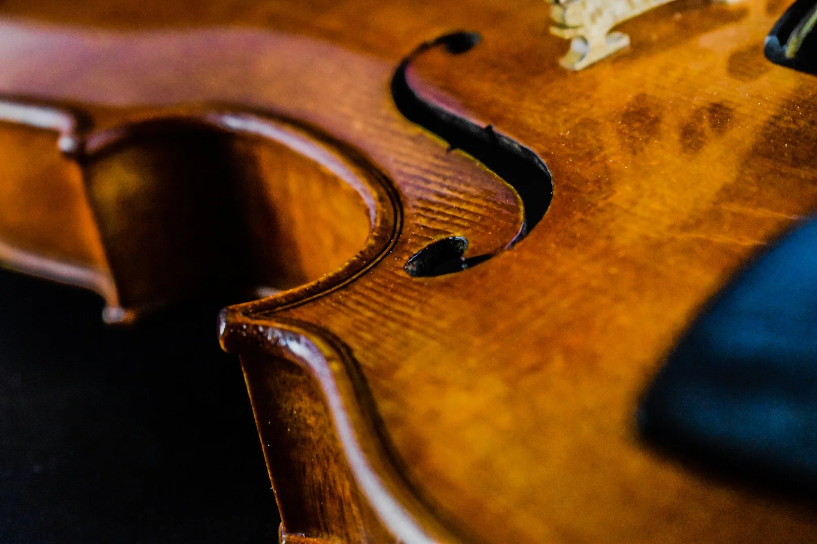 violin rental banner.jpeg