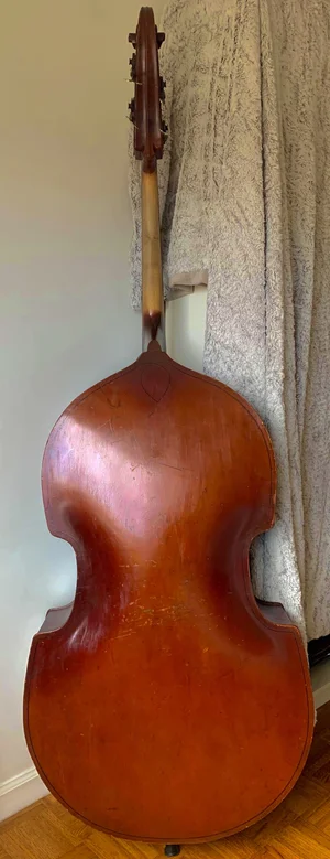 1954 H.N. White Double Bass — New York String Source