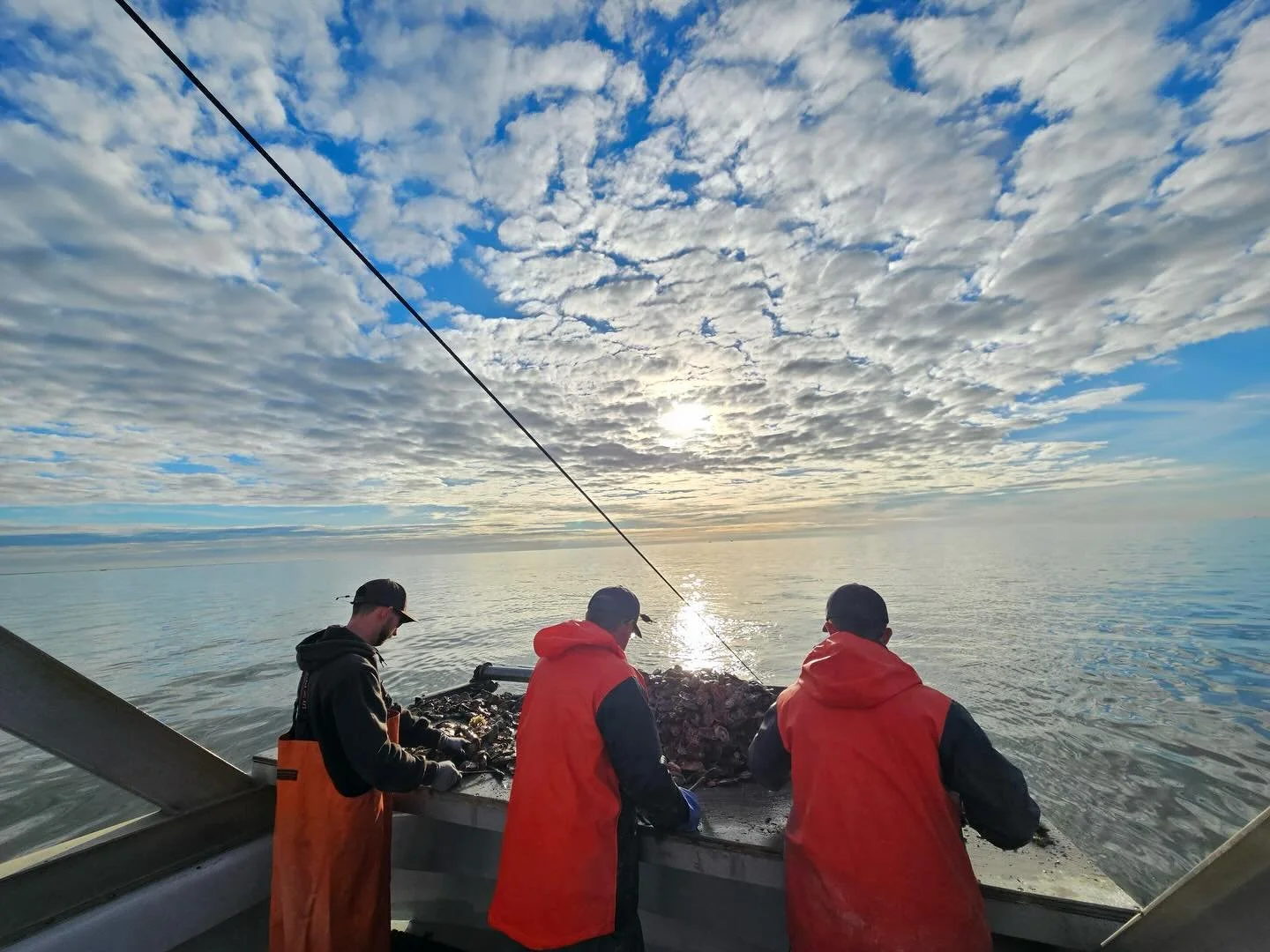 A gorgeous morning on the oyster boat! 🦪 We&rsquo;re open from 12pm-8:30pm, come get your fresh oysters!
