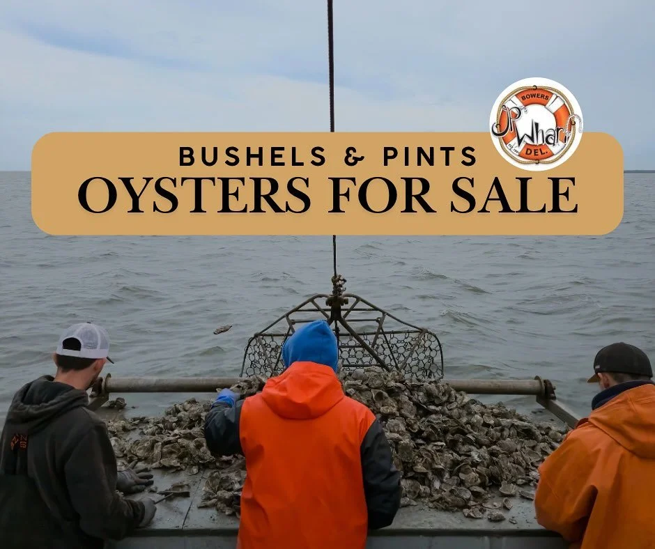 Get some oysters for Thanksgiving! 🦃🦪 Message us on our social media accounts to snag yours &amp; set up a pick-up time this week! *While supplies lasts* Here&rsquo;s what&rsquo;s available:
🦪 1/2 Bushel $50 
🦪 Full Bushel $80 
🦪 1 Pint for $25 