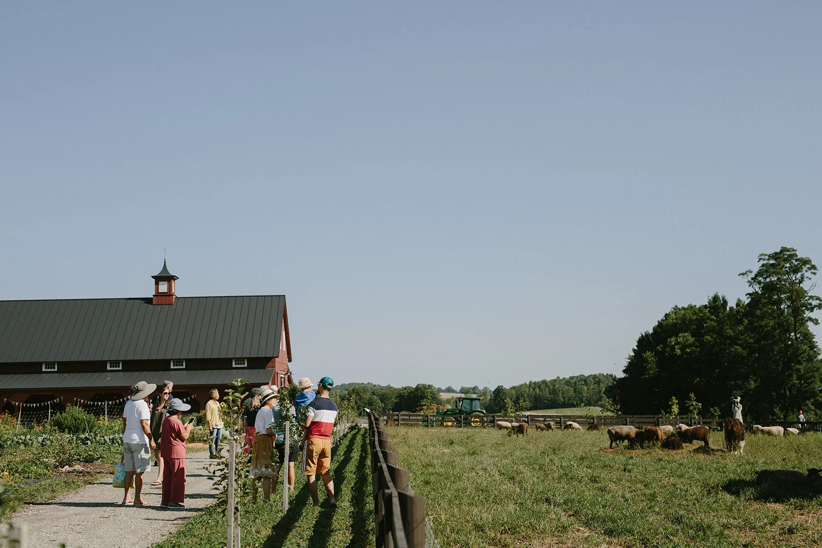 PhiloRidgeFarm-37.jpg