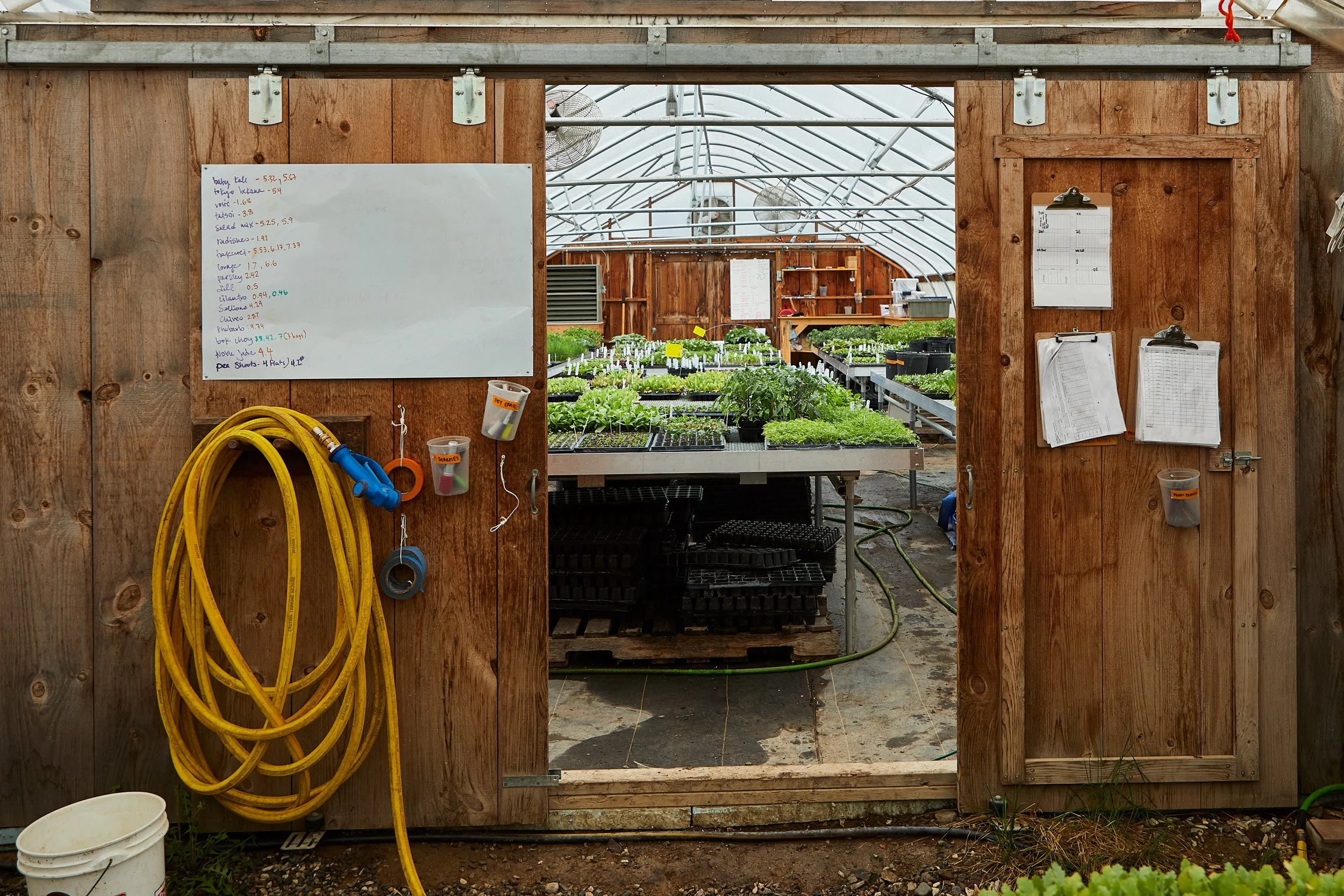 Seeds in Winter: How the Growing Season Begins