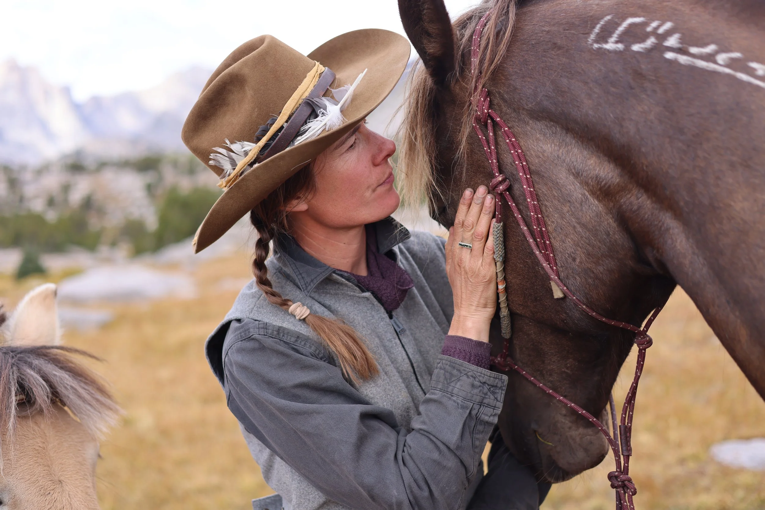 Stories from the Saddle
