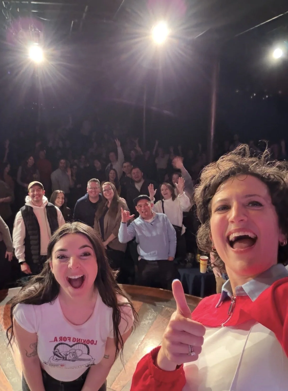 20picture-the-den-theatre-comedy-club-chicago.jpg