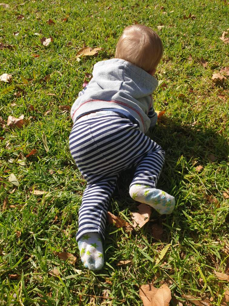 Rocking on all fours and Crawling. Do all babies Crawl? Why do babies rock on all fours before they start Crawling?