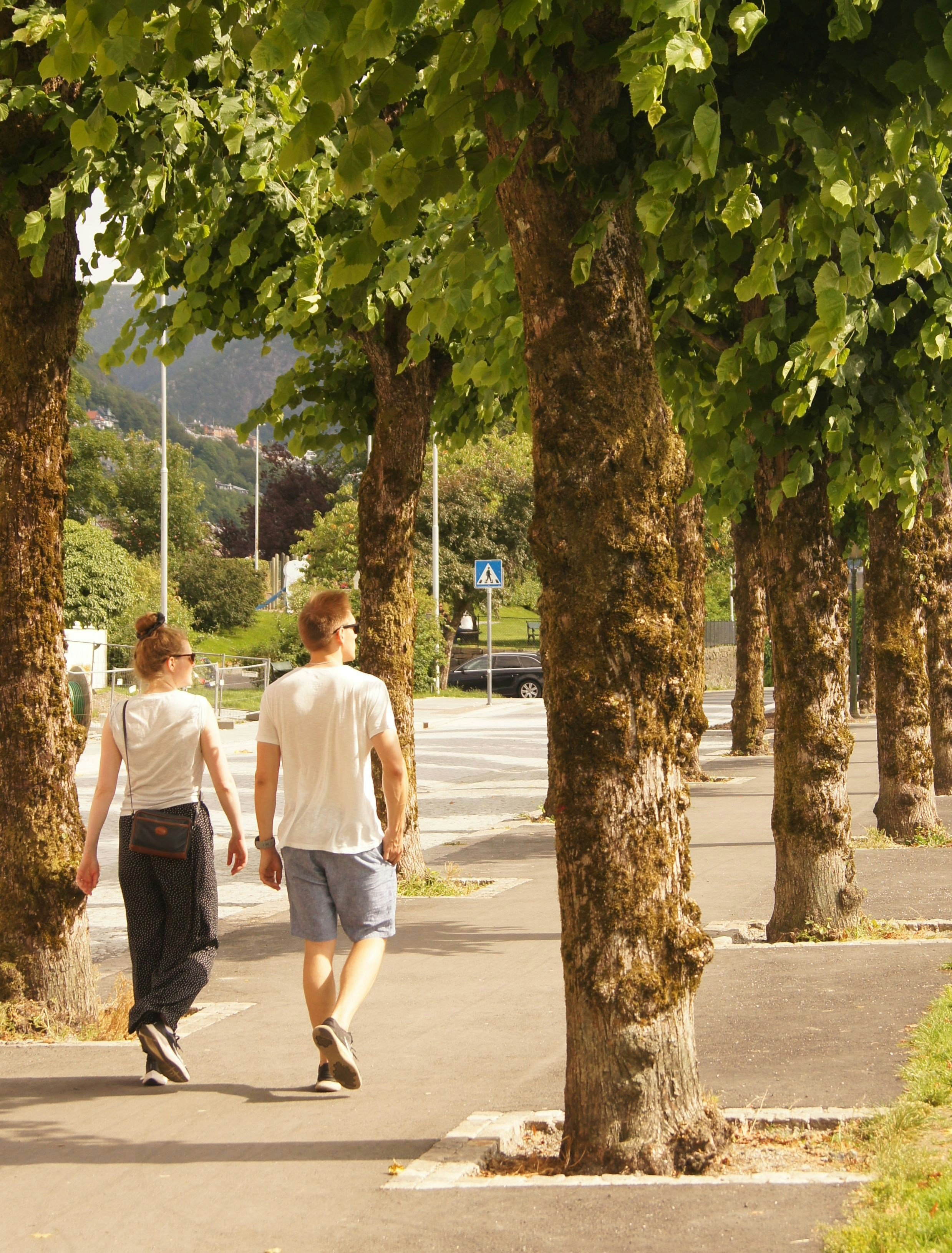 Take the First Steps: Simple Ways to Start or Increase Your Walking Routine