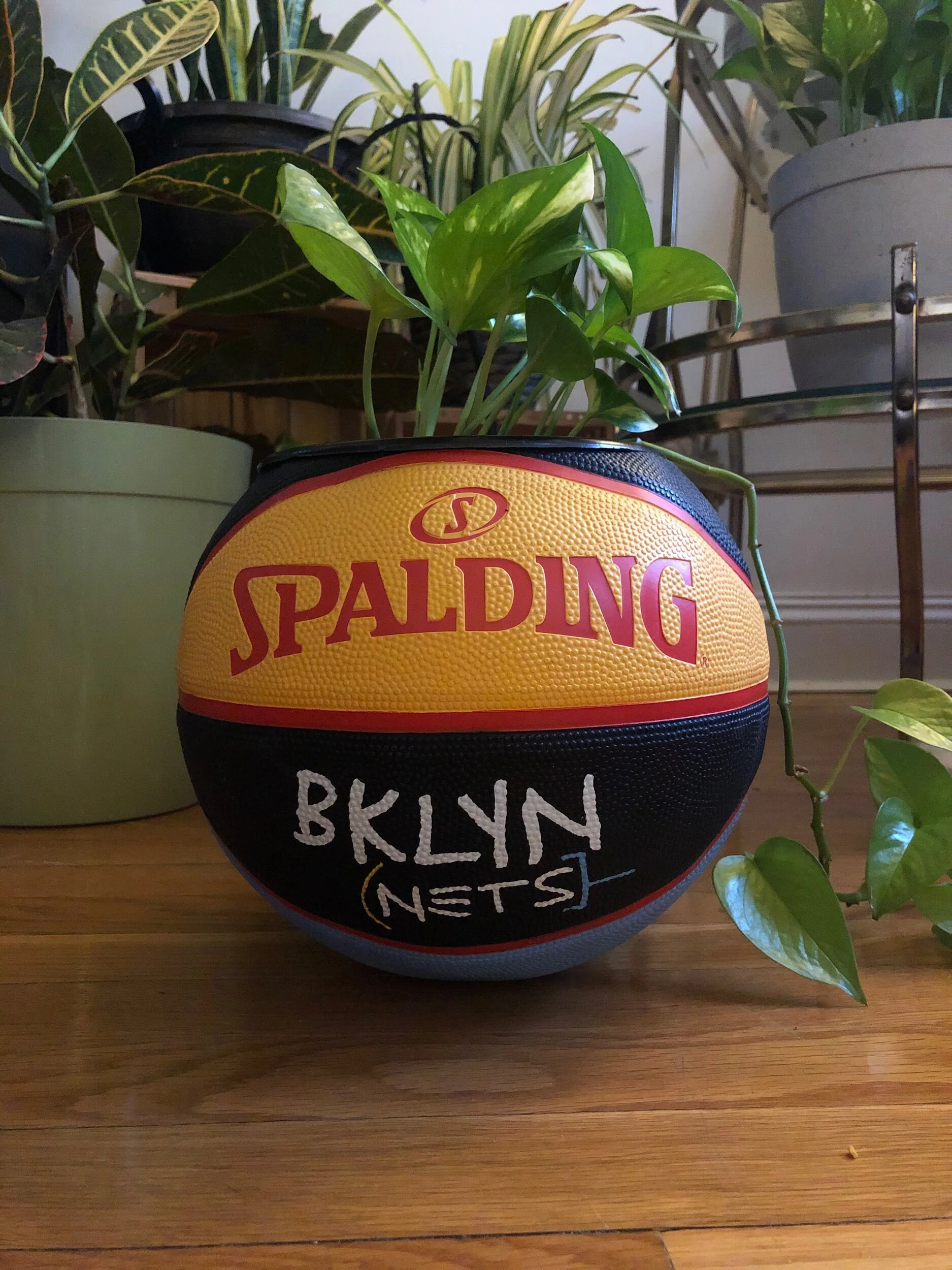 95E2D2E5-ABCD-4478-AEFE-3F87DE49B70E