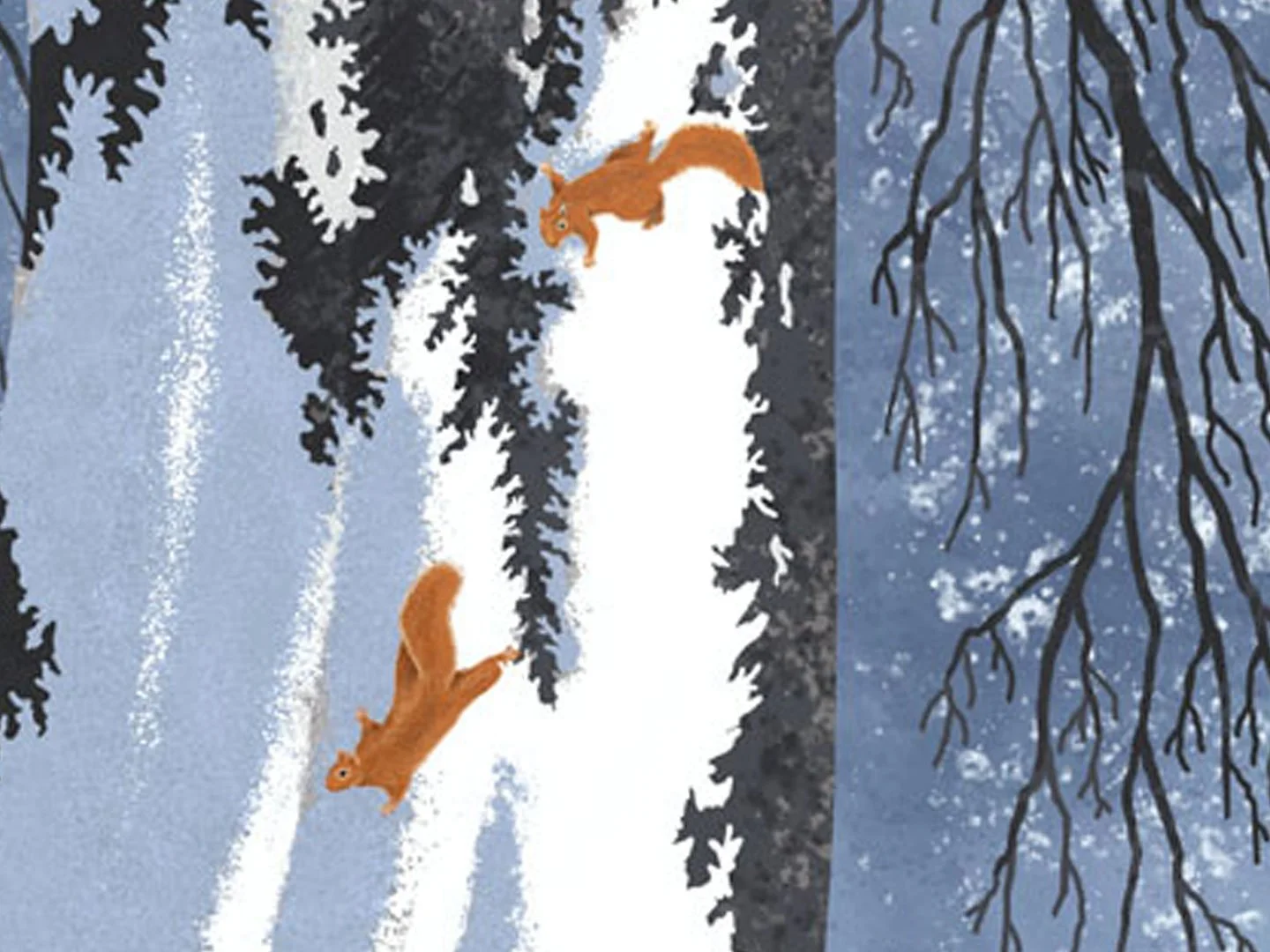 Squirrel Illustration