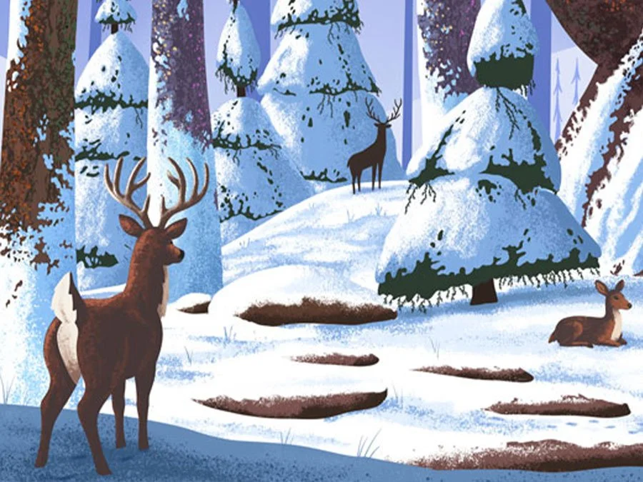 Deer Illustration