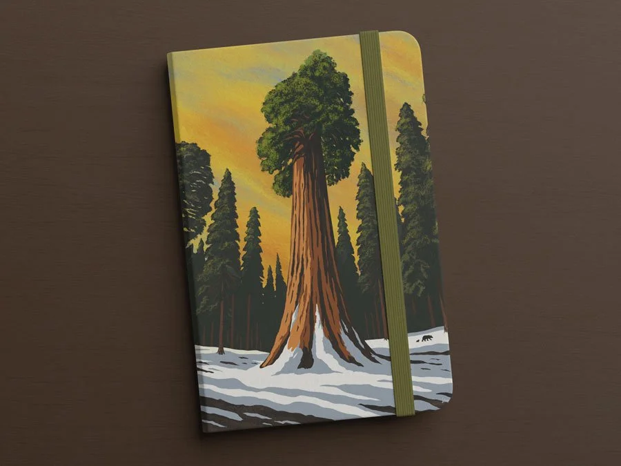 Sequoia Illustration Journal