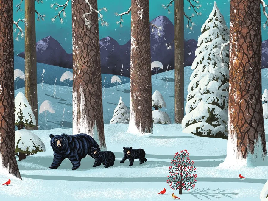 Rocky Mountain Bears Illustration