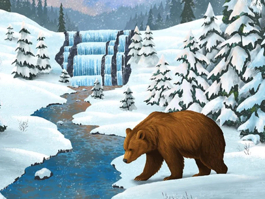 Grizzly bear illustration