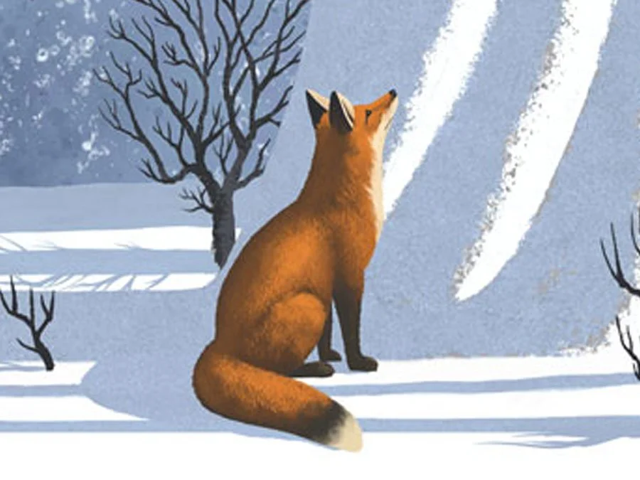 Fox Illustration