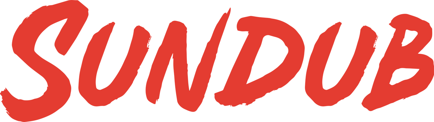 SunDub // Official Website