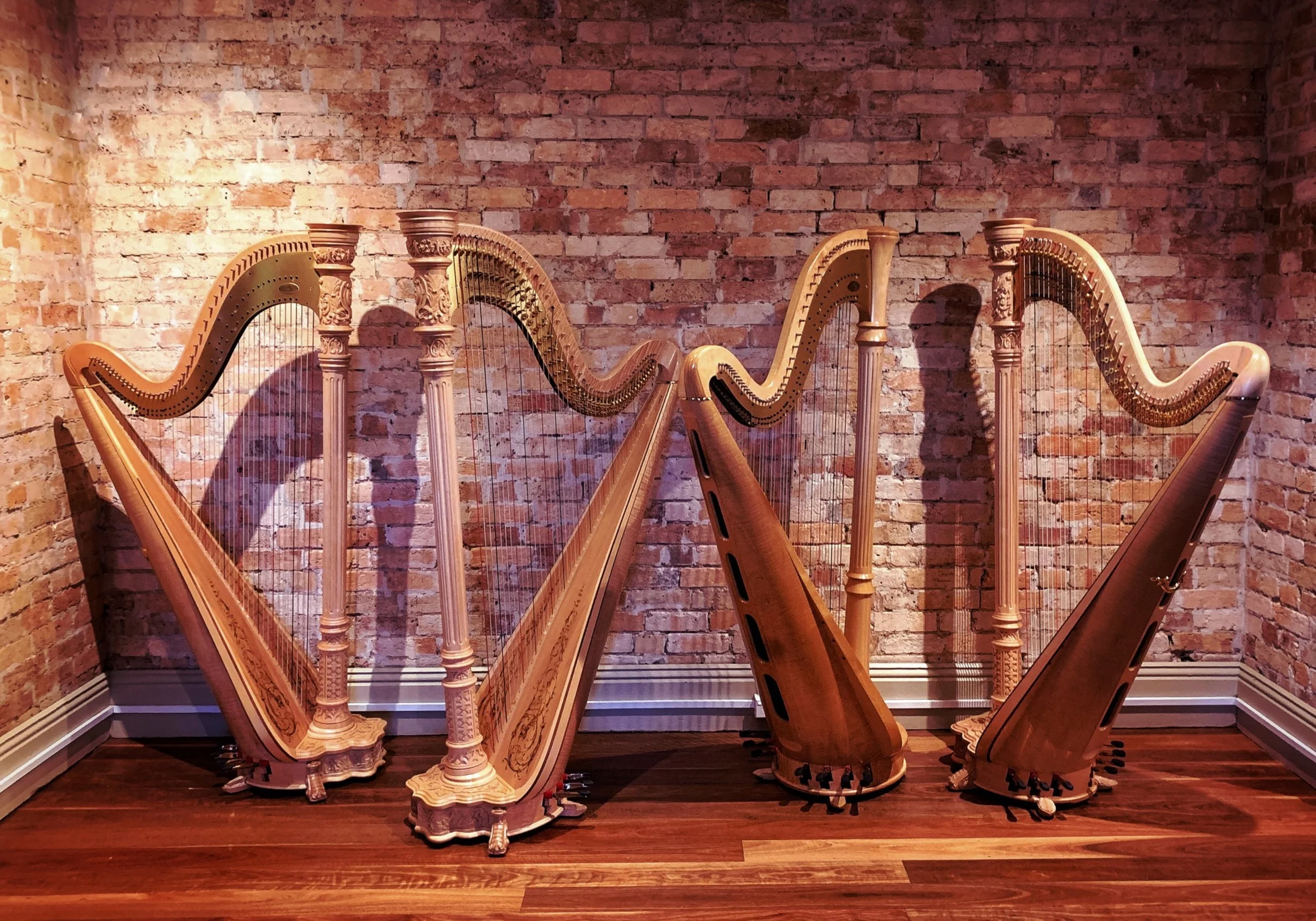 KNC+harps+4+copy.jpg