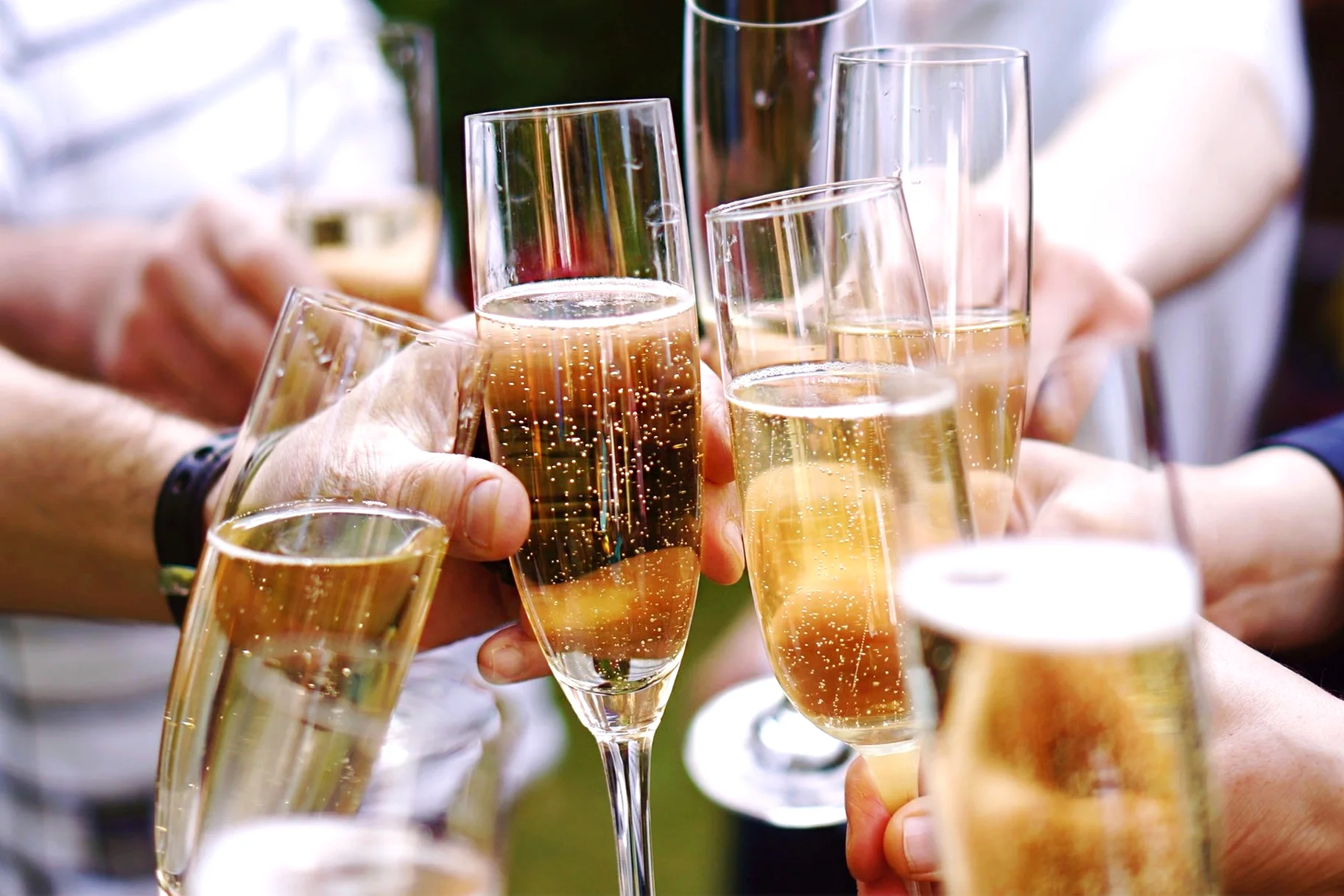 the-feast-champagne-shortage-cheers.jpg
