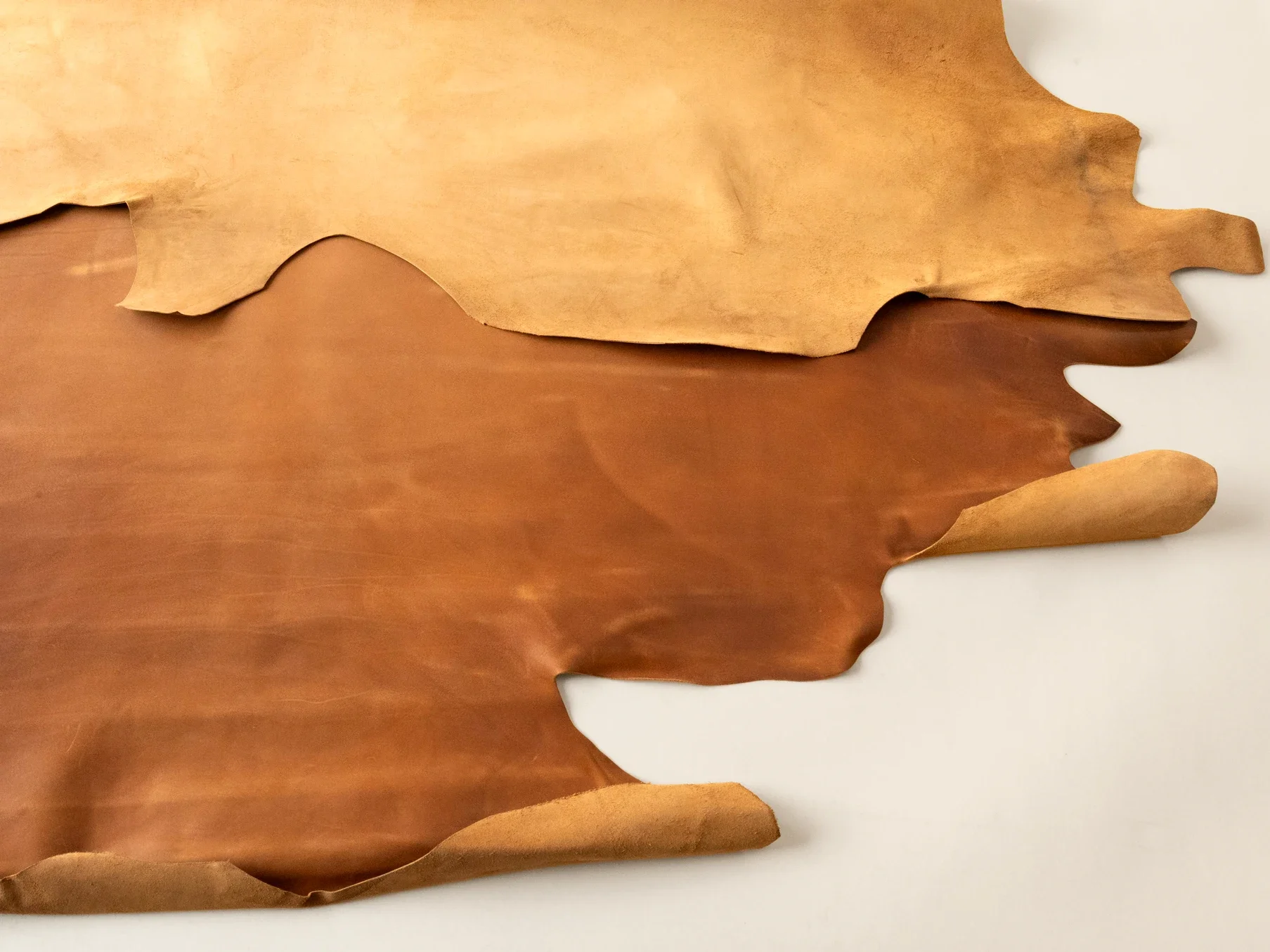 Atlantica_Etrusco_Cannella_Hide.webp (Copy)