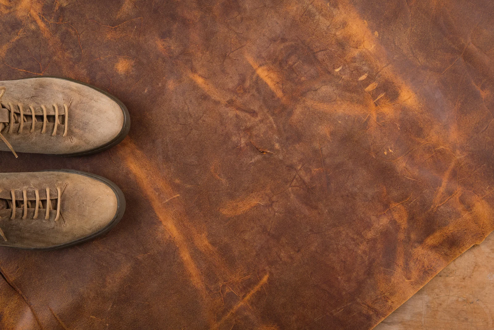 C.F. Stead • Waxy Mohawk