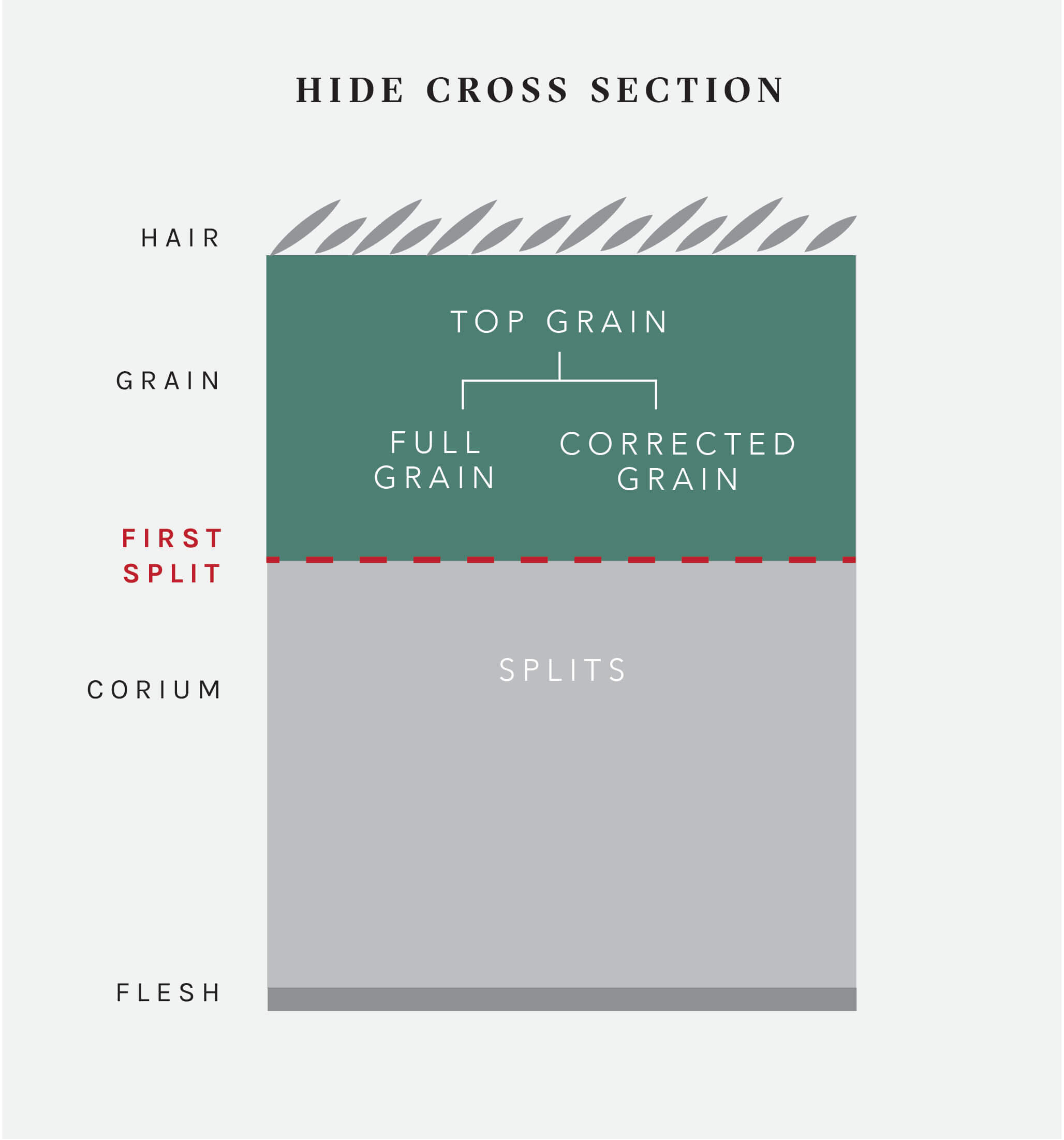 Understanding Leather Grains: Top Grain, Full Grain, Corrected