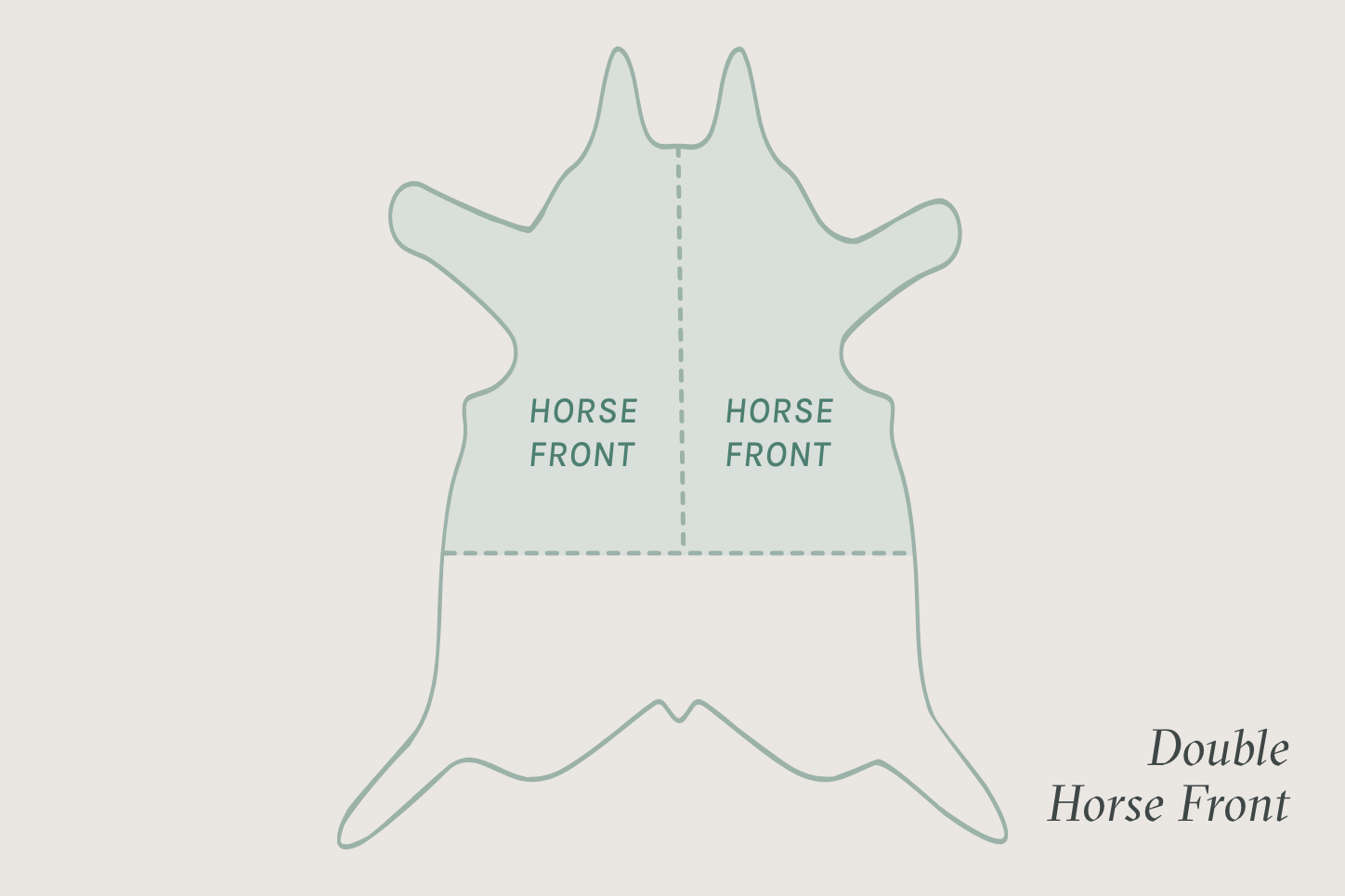 DoubleHorseFrontDiagram.png