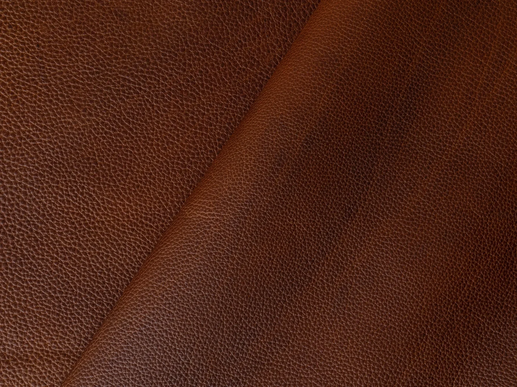 BourbonCheyenne_3.webp
