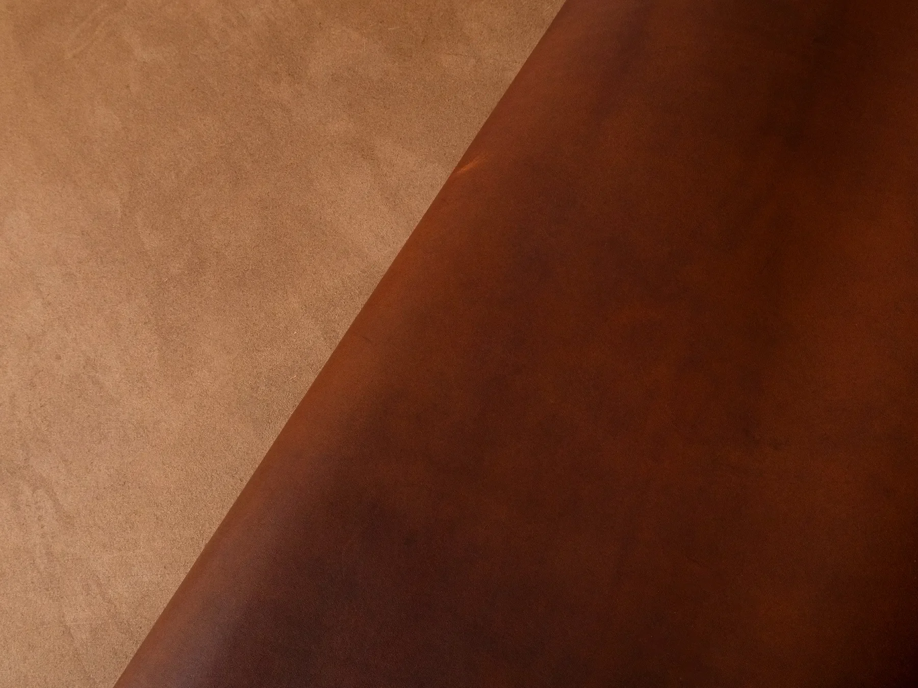 ChestnutCypress_2_RT.webp