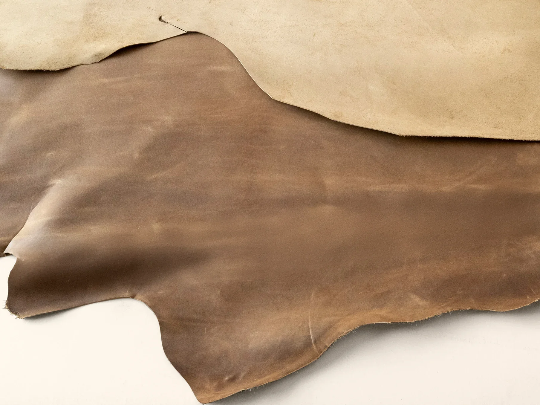 Atlantica_Etrusco_Terracotta_Hide.webp (Copy)