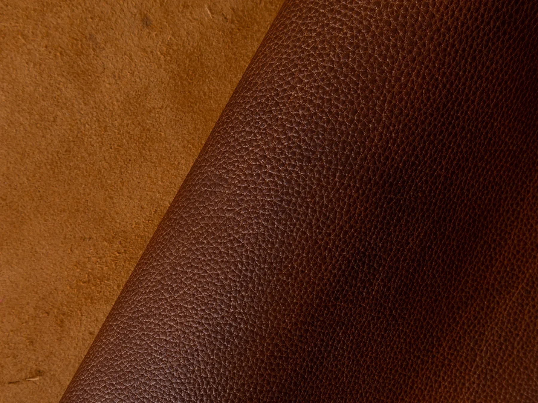 BourbonCheyenne_2.webp