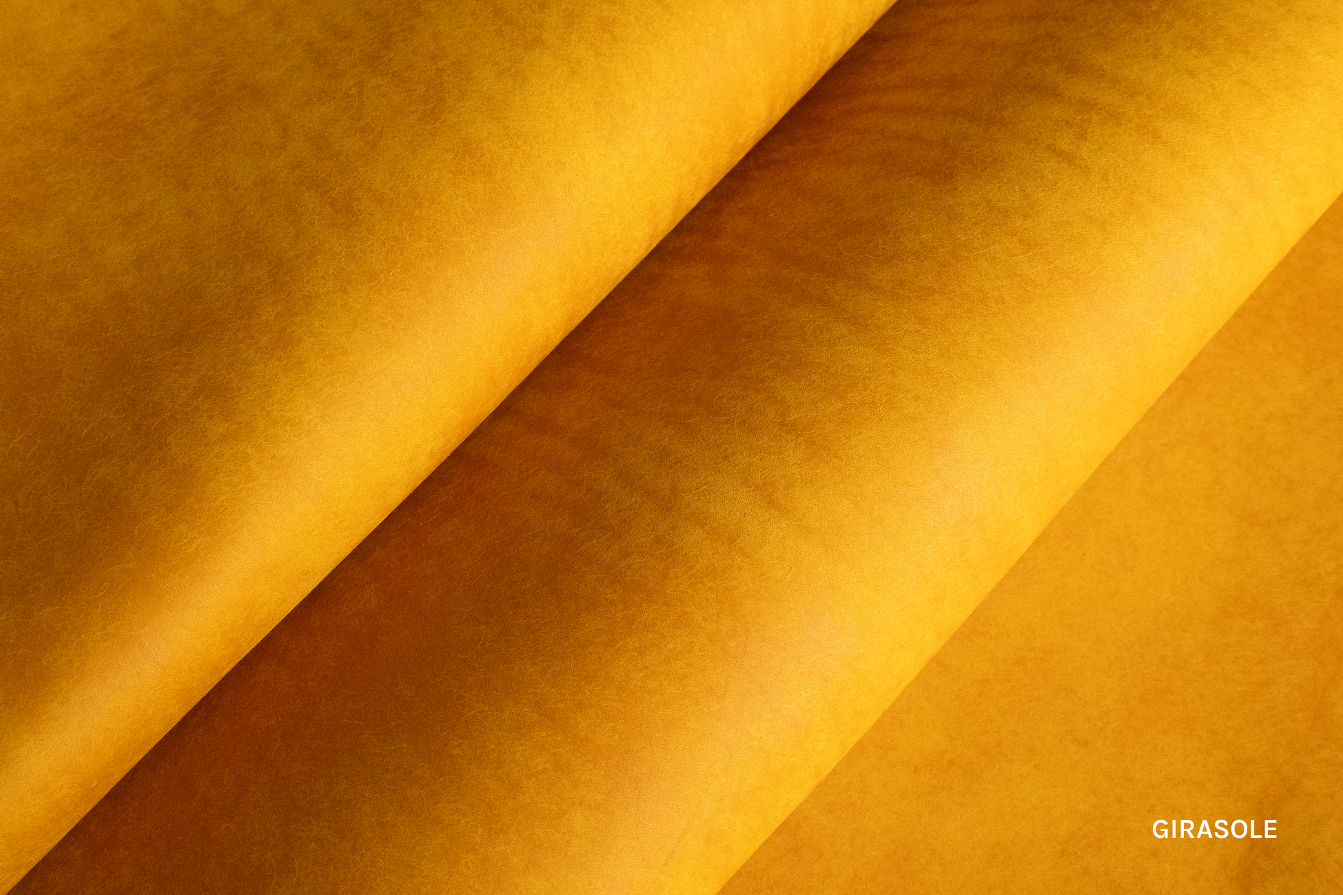 Margot_Girasole2_L.png