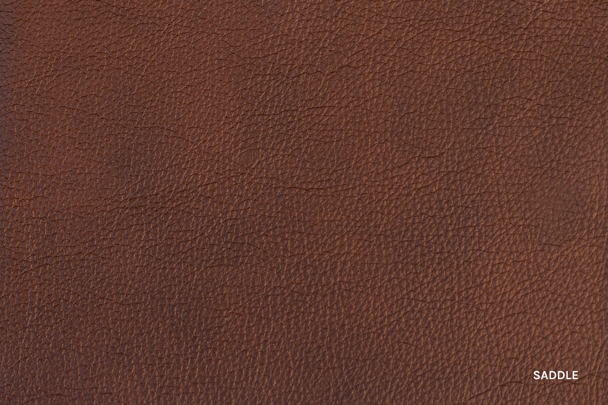 Lisbon_Saddle_L.jpg