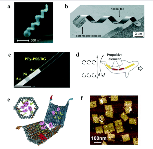 The Backbone: Applying Engineering Principles in Medical Nanotechnology Design By Mar Awde