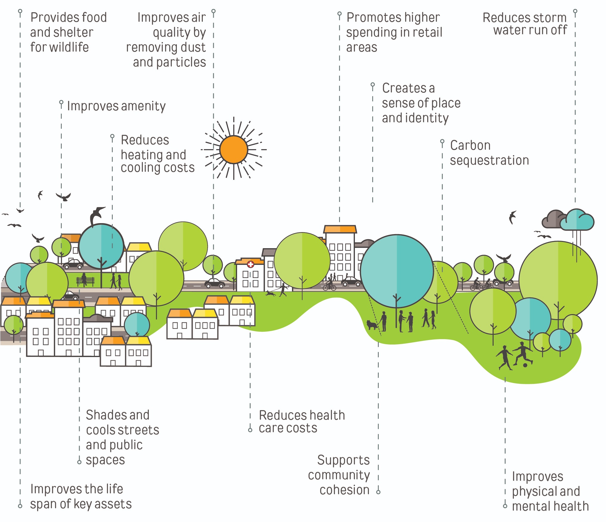 urban+forest.jpg