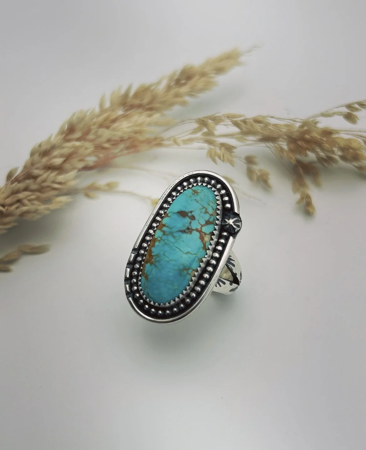 48C6C43E-B4C5-4ECC-A038-5B3FE377991C