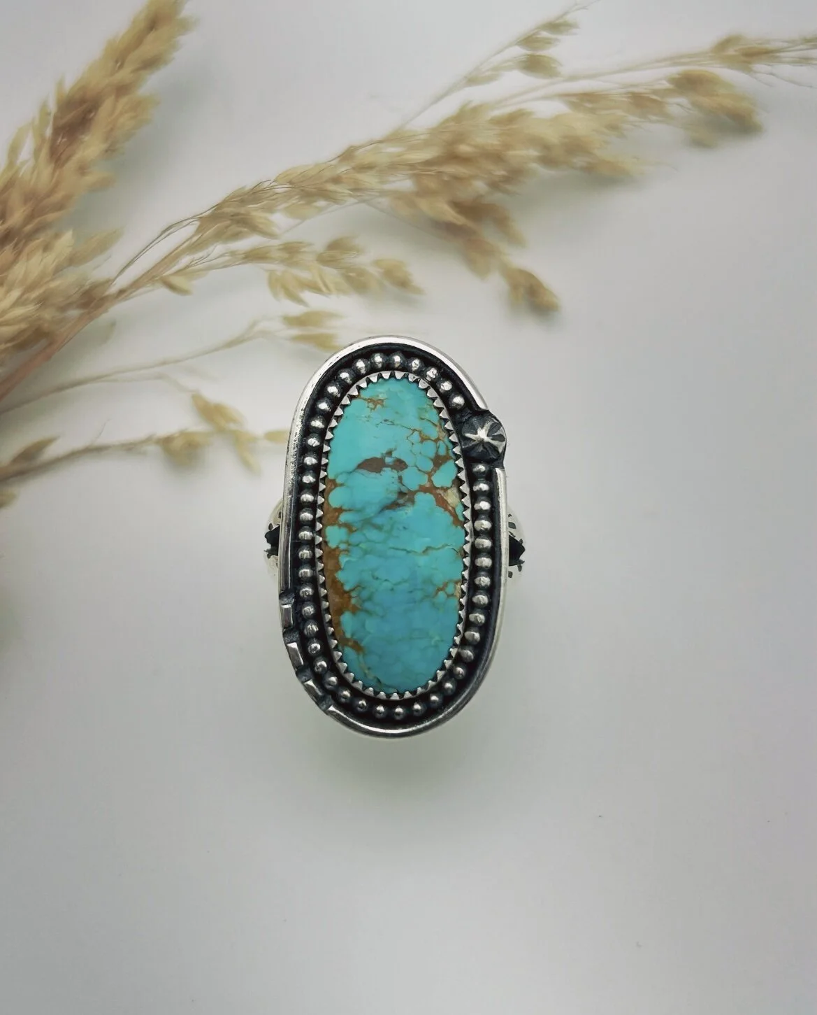 1F36E2D2-6027-4F1A-87C5-9BDD92A612C5