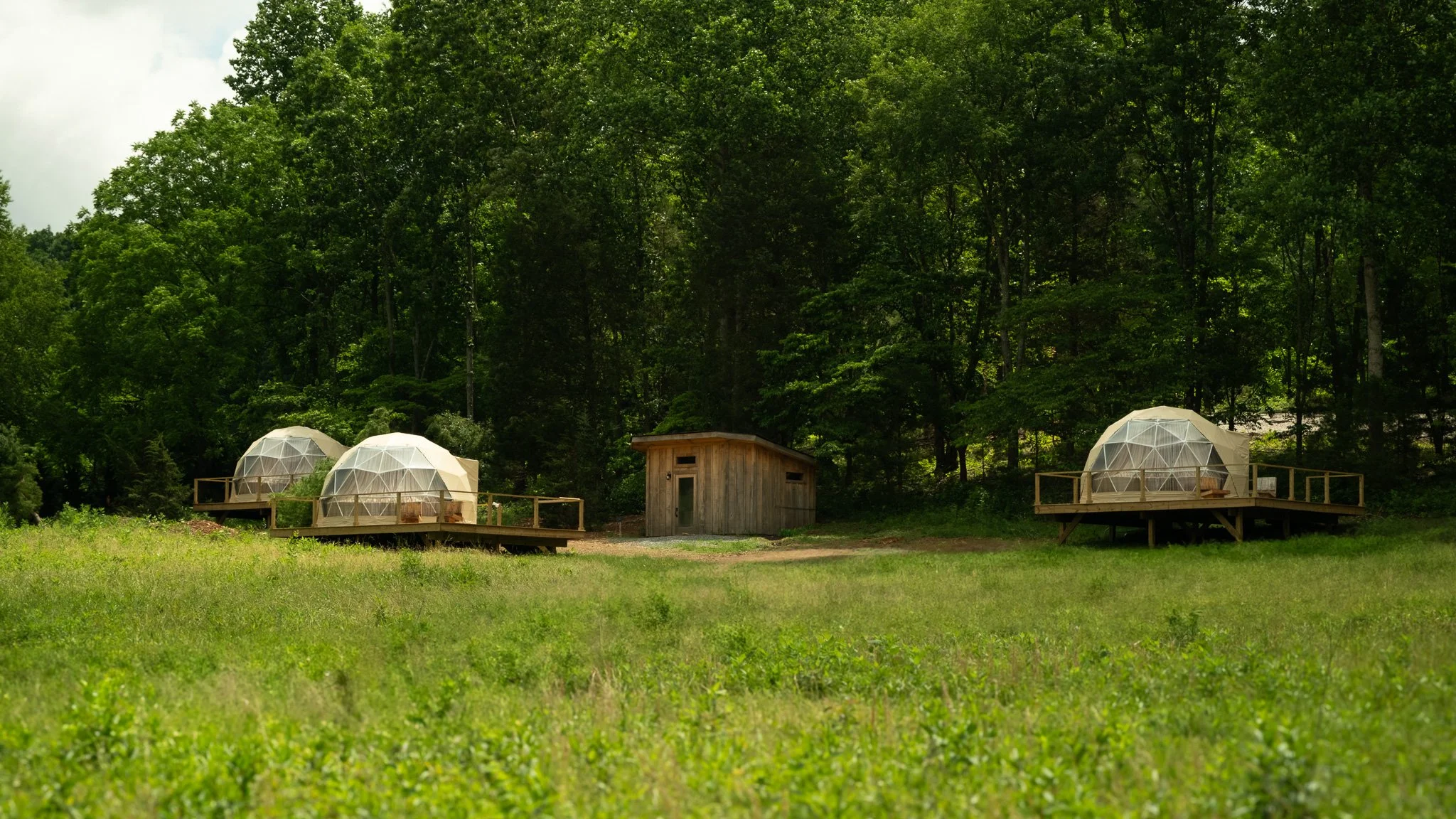 Geo Dome Triptych.jpg