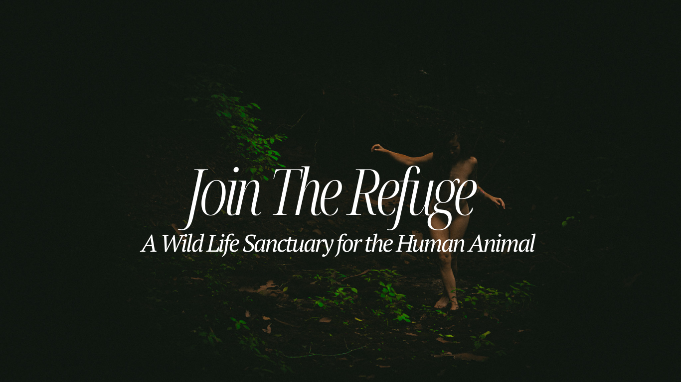 Copy of Black and White Elegant Aesthetic Fine What Post On Social Media Instagram Carousel Post (Website).png.png