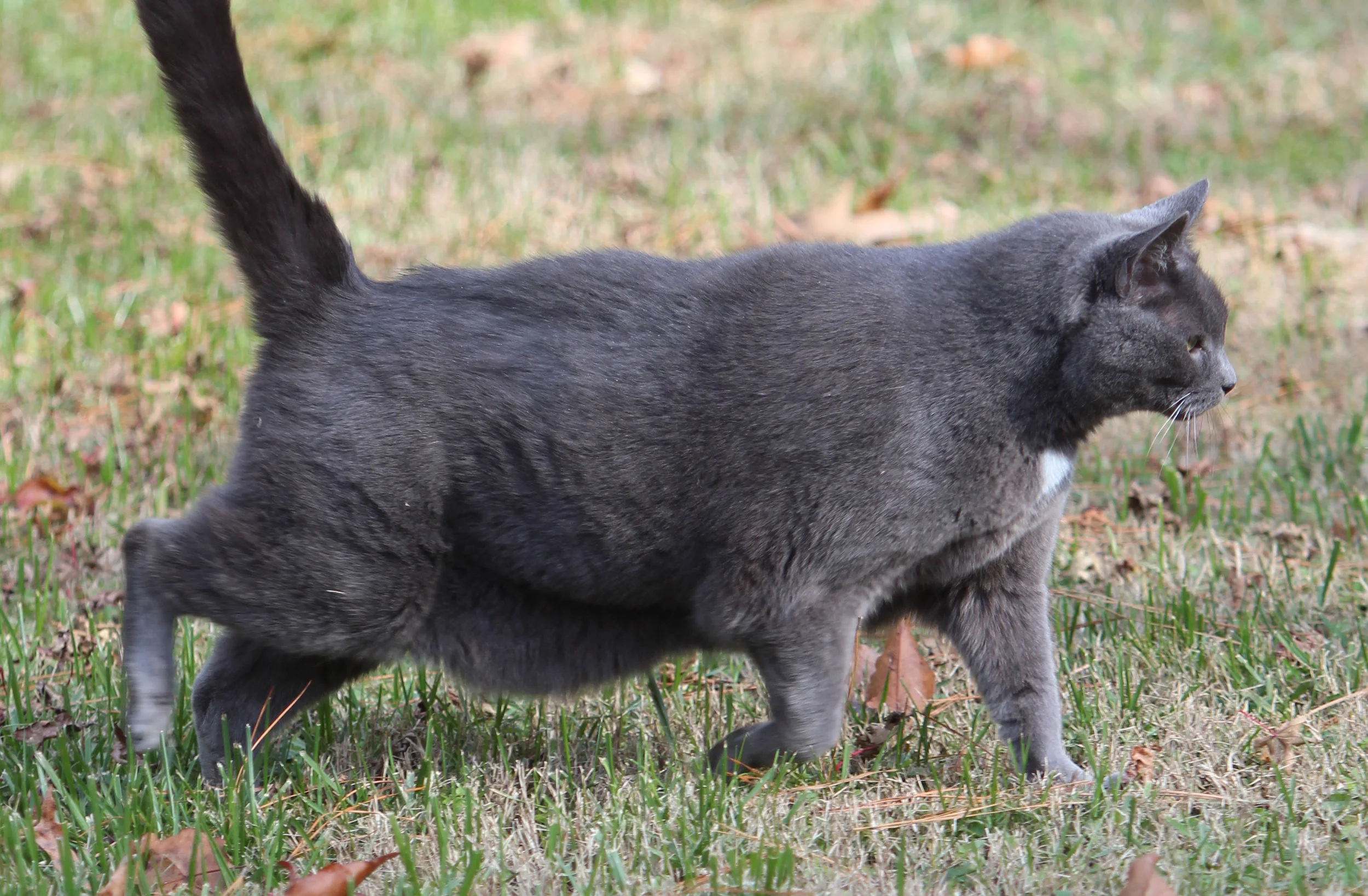 IMG_6984-cropped.jpg