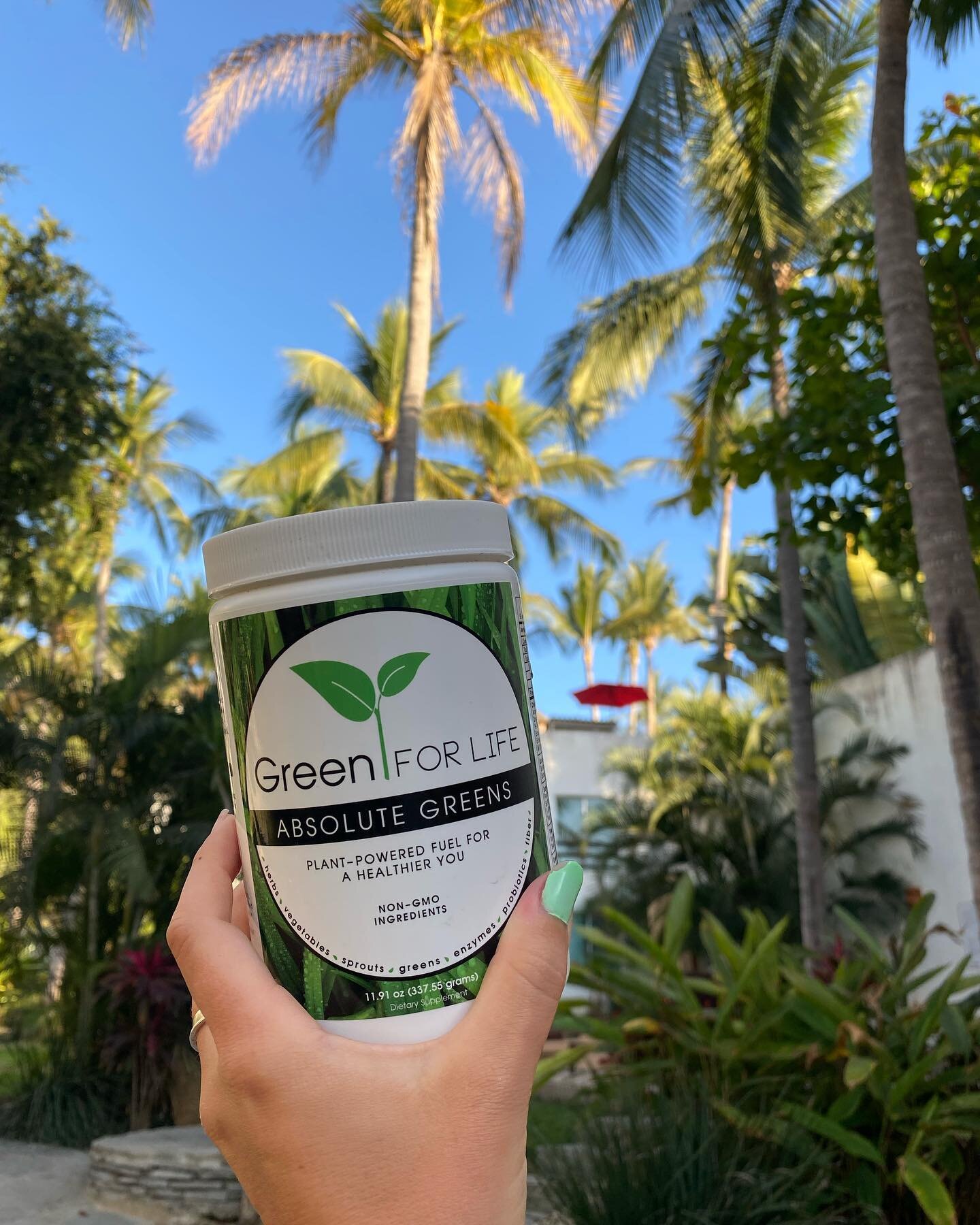 Feel the power of our absolute greens energizing and fueling you!

Purchase at greenforlifenow.com
The best tasting greens out there 
#supplements #greens #superfoods #organic #allnatural #fuel #healthy #greenforlife